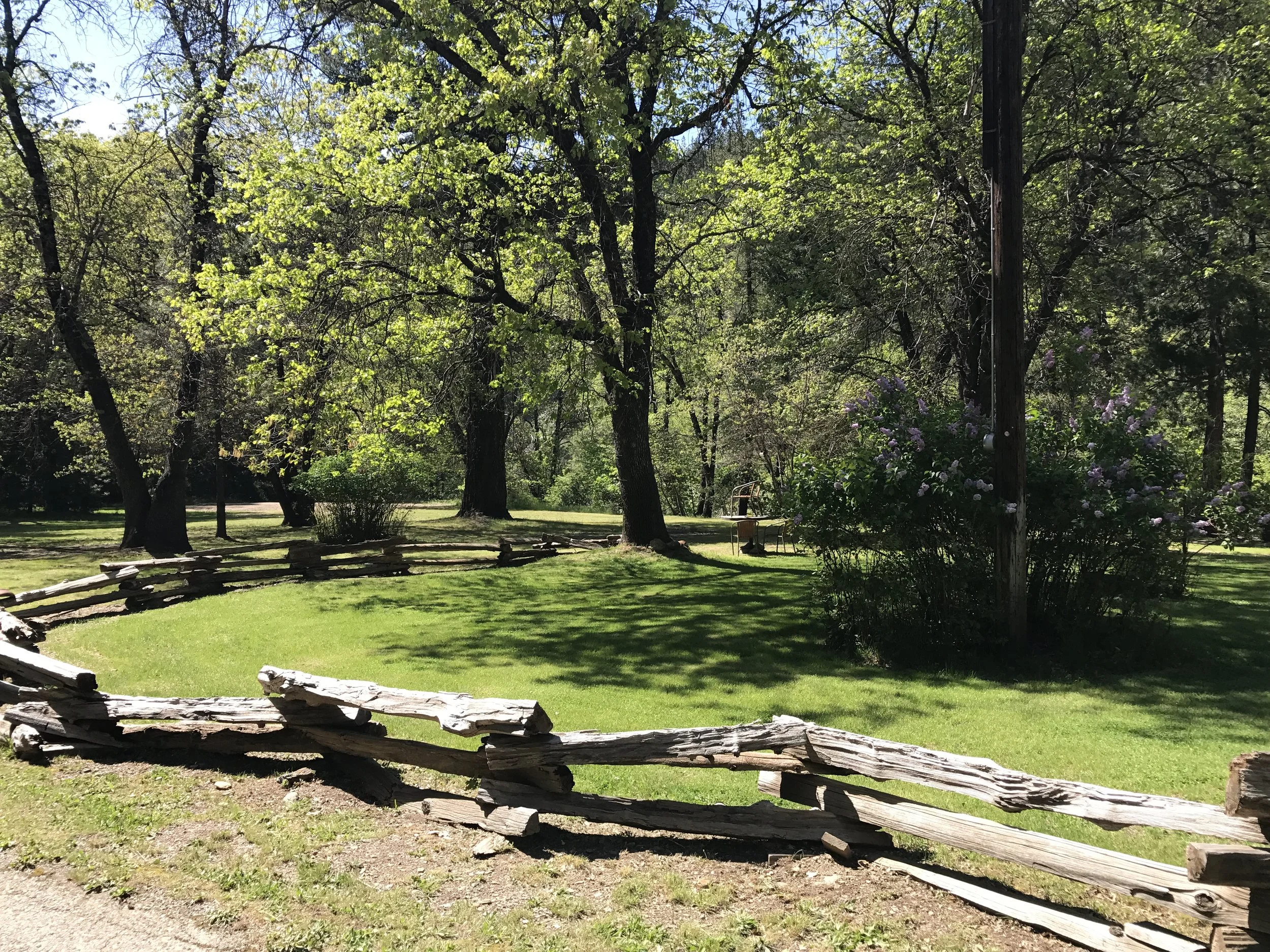 A peaceful park scene featuring a weathered wooden split-rail fence, green grass, tall trees with budding leaves, a purple flowering bush, and a clear blue sky with sunlight filtering through the trees.