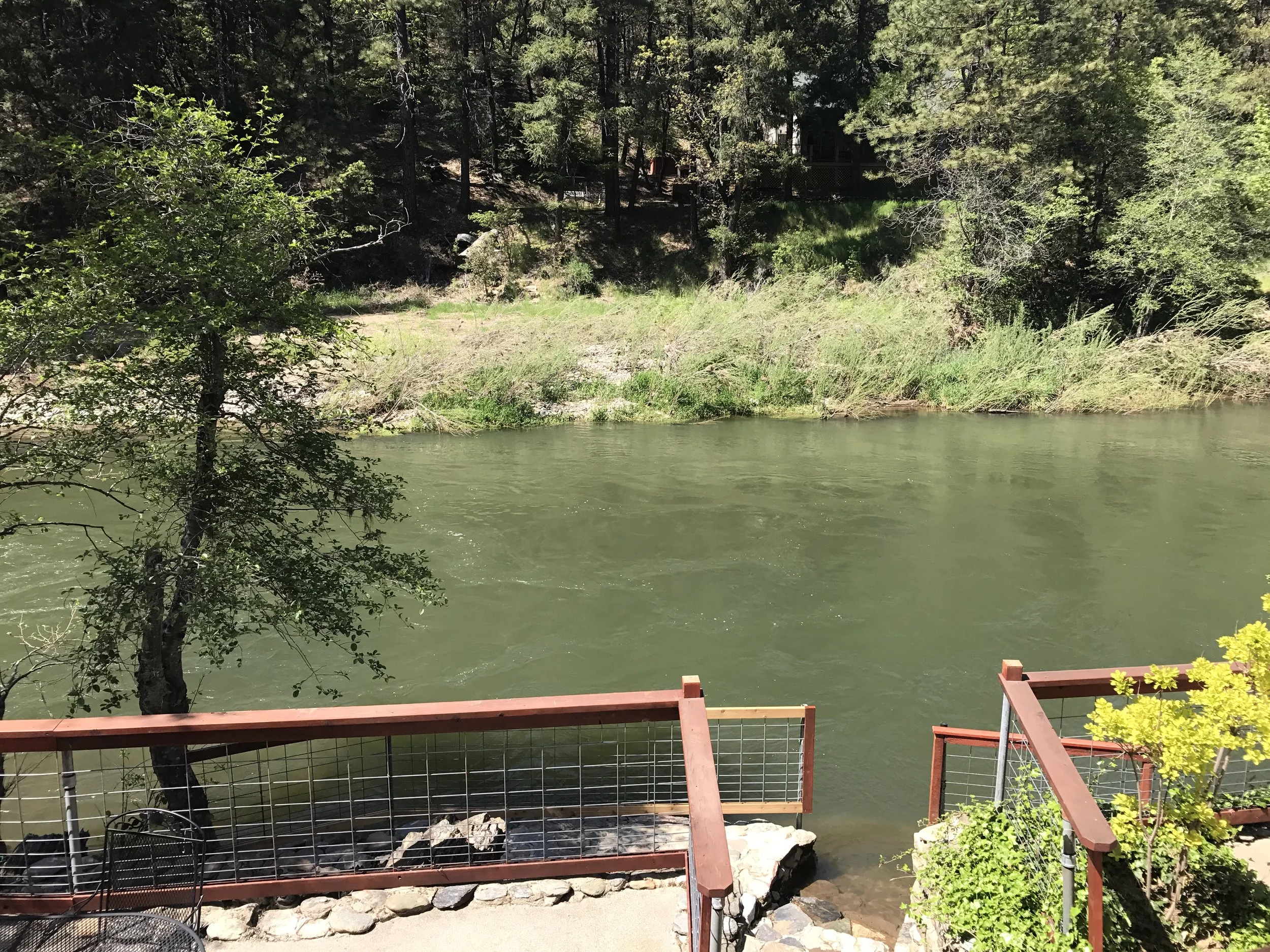 A river with greenish water flowing through a wooded area. There is a small patio or deck with a railing and some plants on the right side, and a tree leaning over the water on the left.