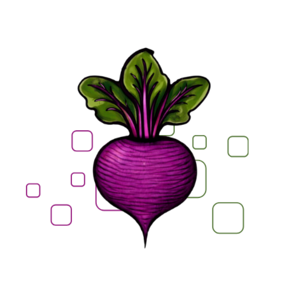 Beetroot Consulting Ltd Home Page 