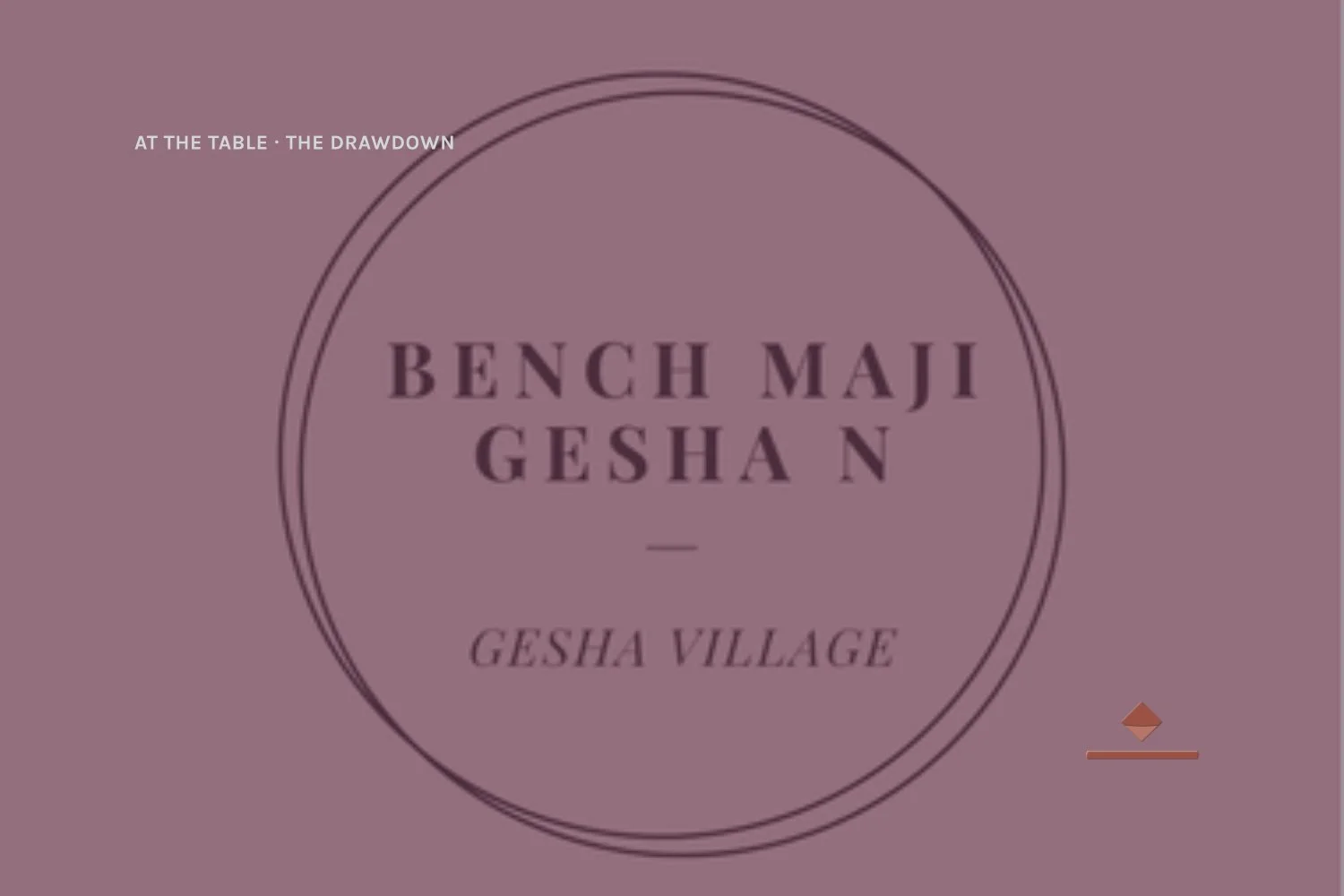 Gesha Village Bench Maji Gesha N