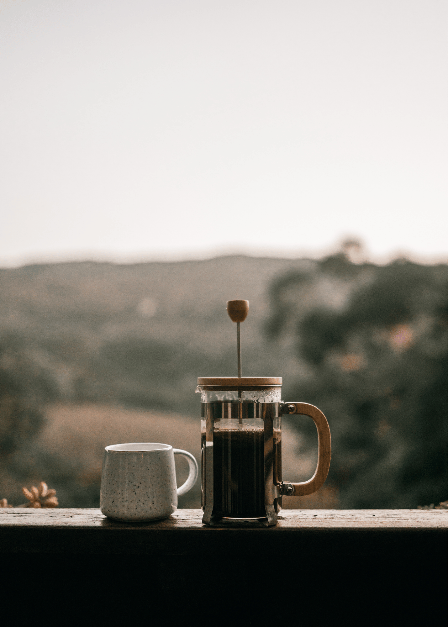 A French press and a speckled ceramic mug rest on a weathered wooden ledge, with a soft-focus landscape of rolling hills and trees in the background. Morning light filters through an overcast sky.