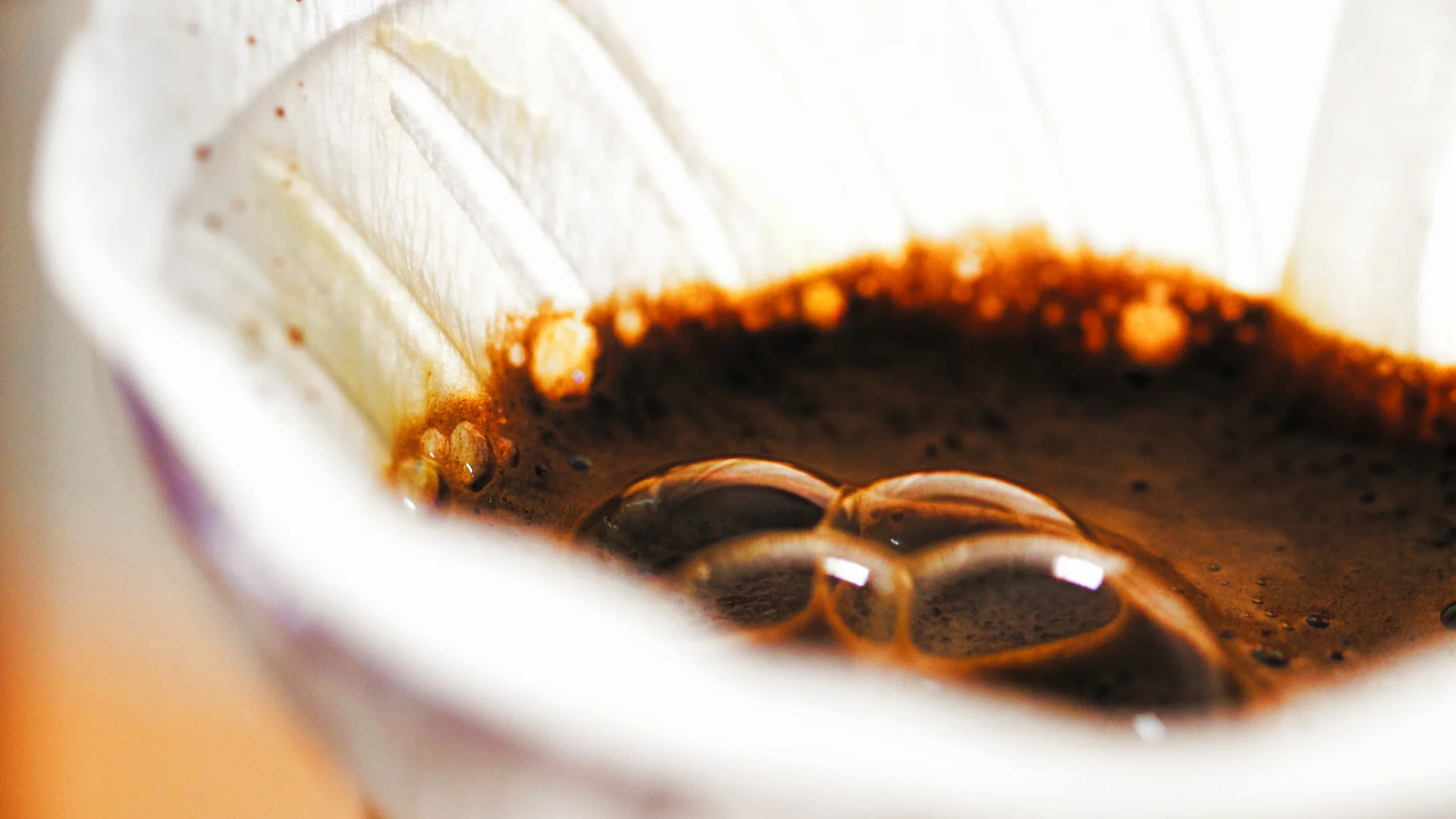A close-up of a pour-over filter showing the coffee actively blooming.