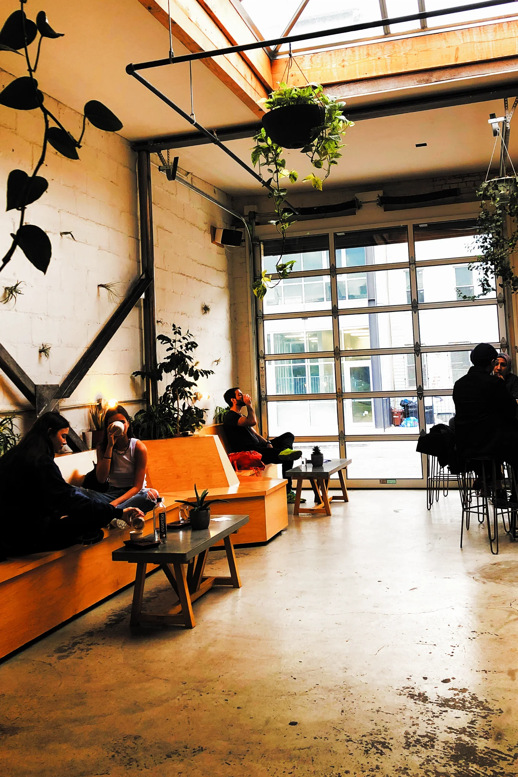 A spacious, light-filled warehouse café with abundant plants.