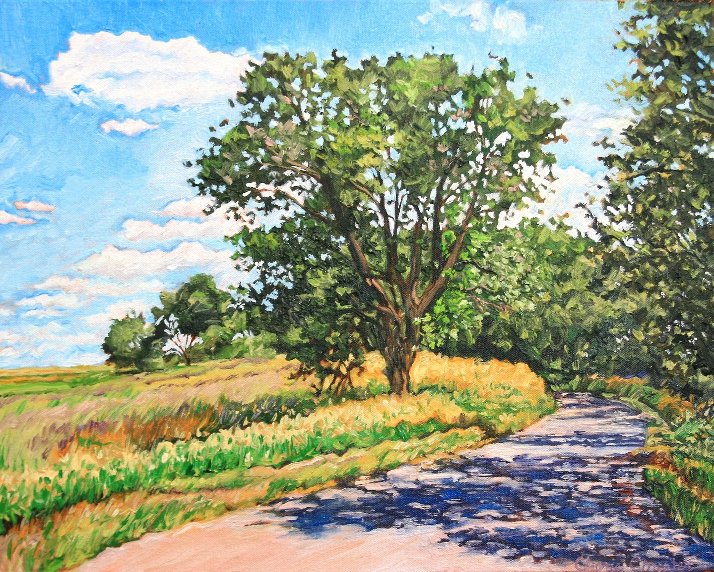   Rush Lake Road #2   Oil on canvas 16"x20"  $475