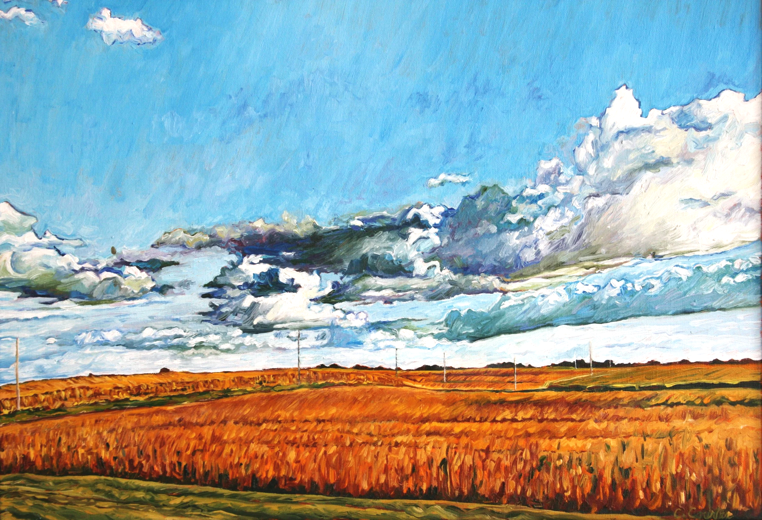 Fields & Sky