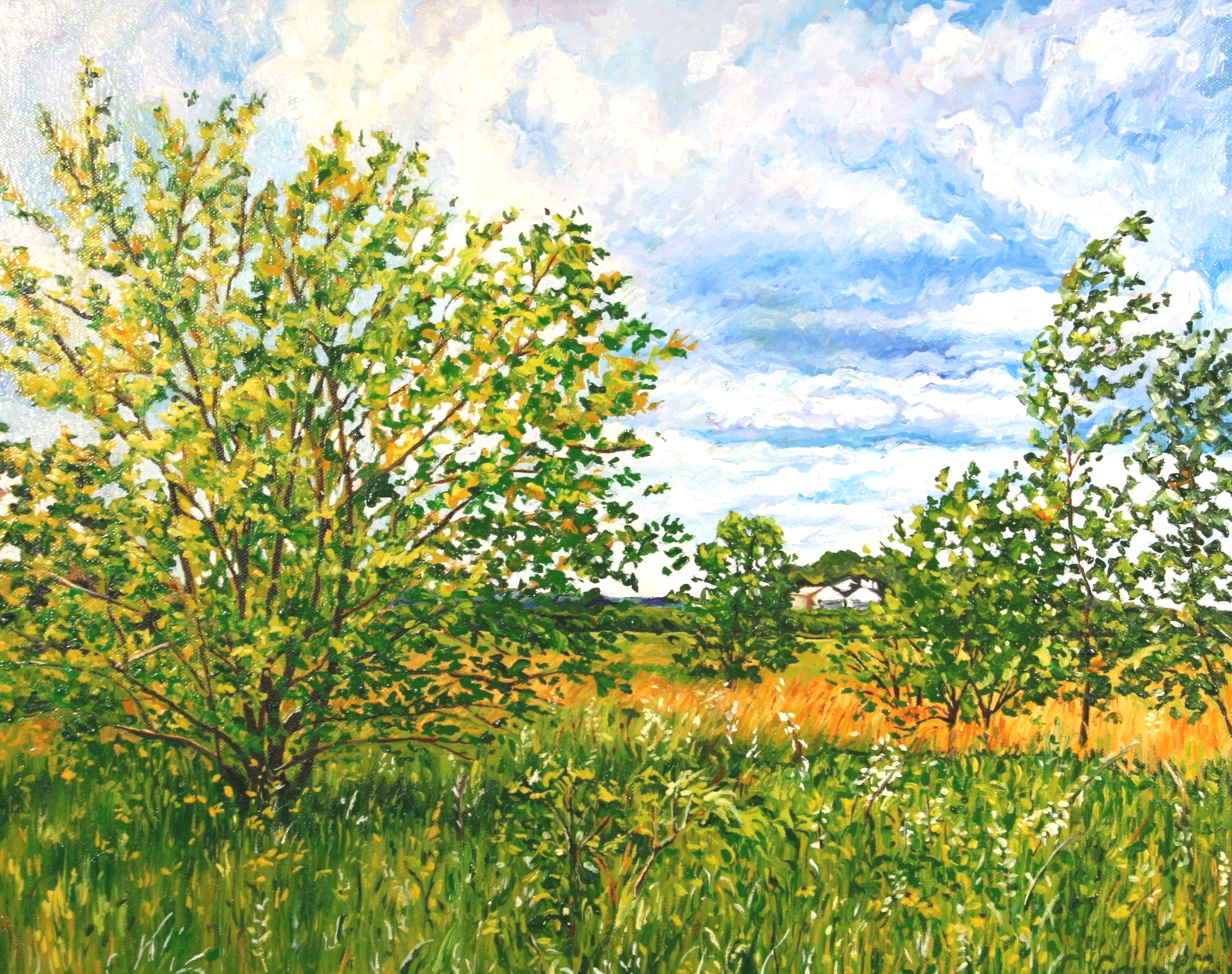   West on Twin Lakes Road   Oil on canvas  16"x20"  $475