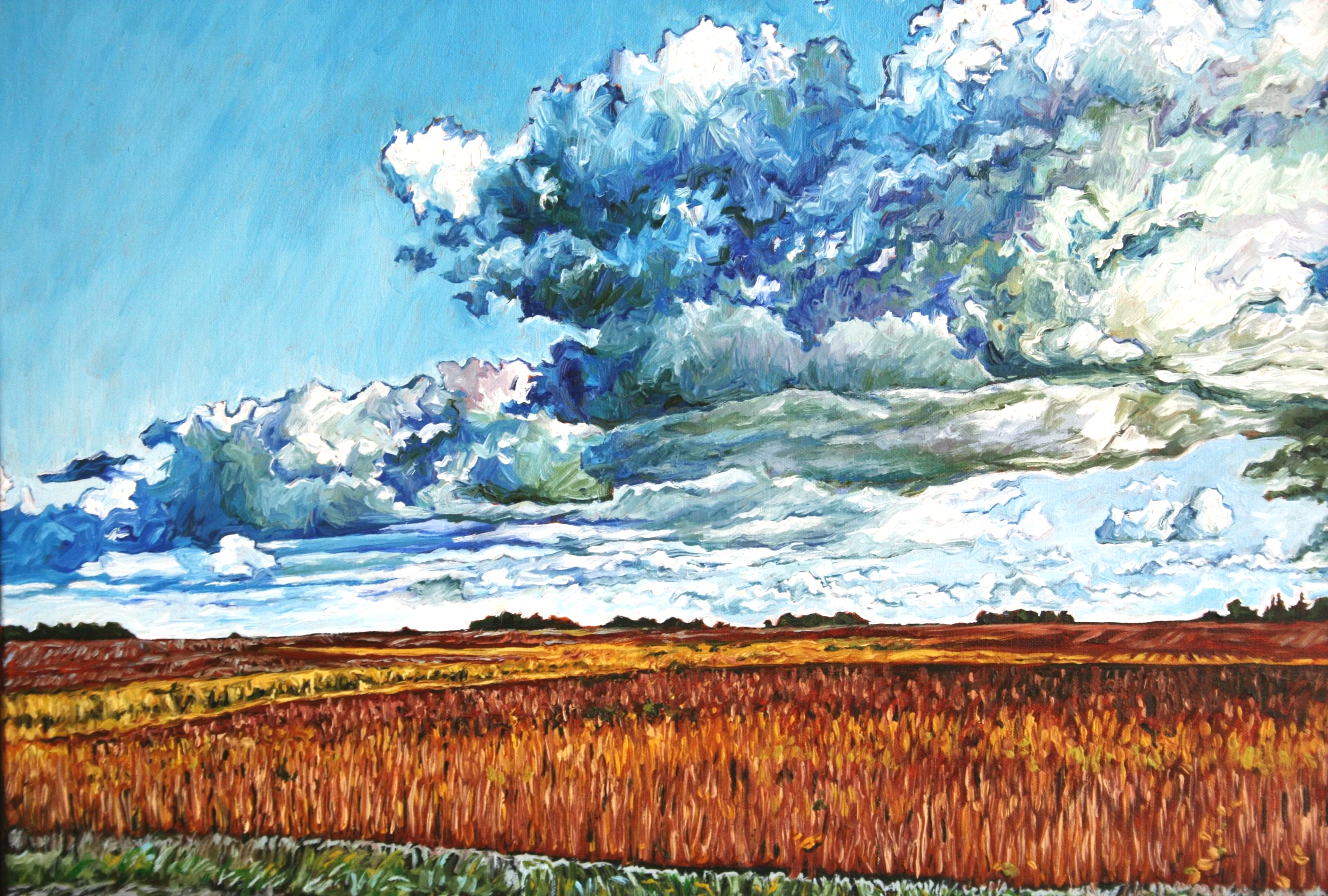   Ode to Tebow #4   Oil on canvas 18"x24"  $600