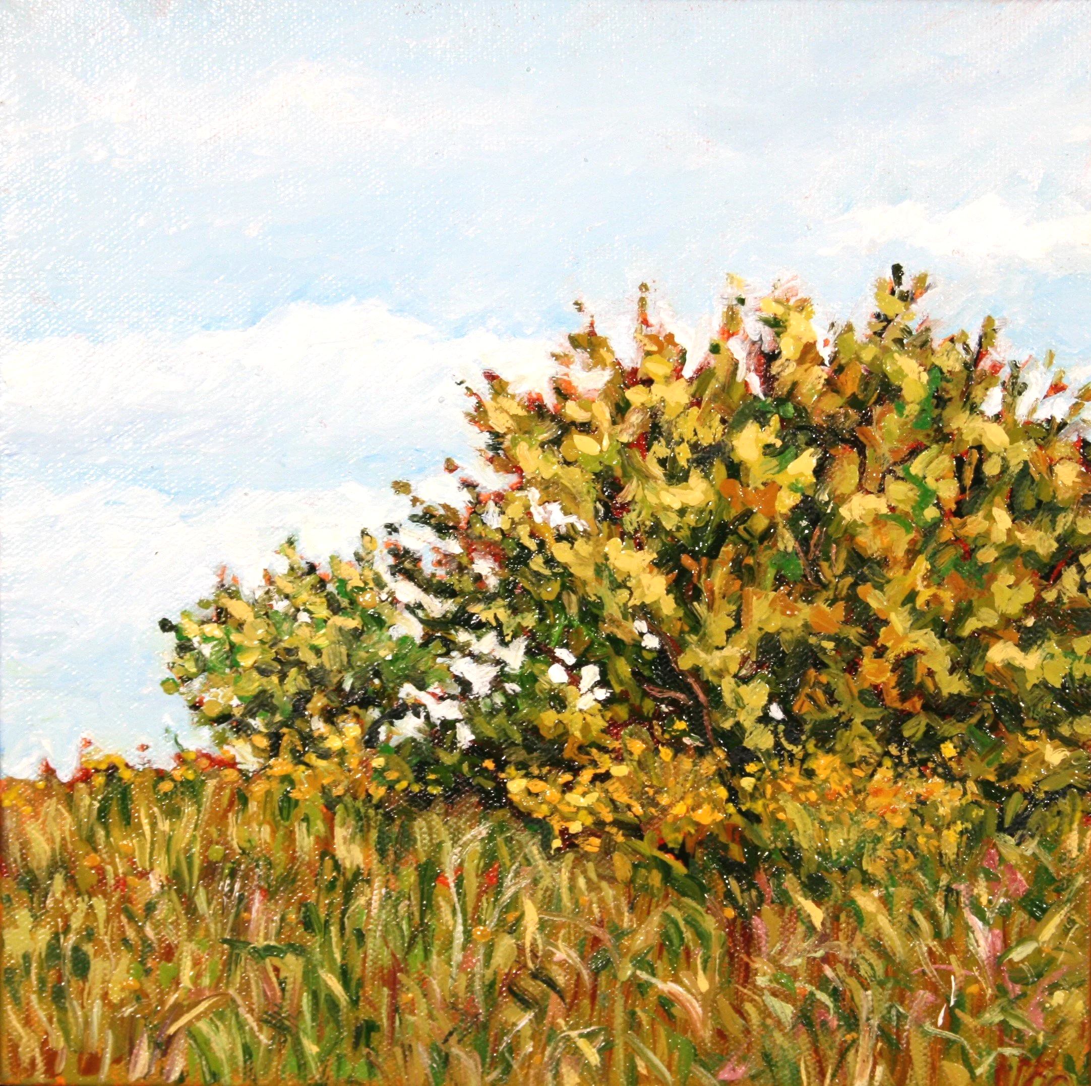   Untitled #10   Oil on canvas  10"x10" $225 