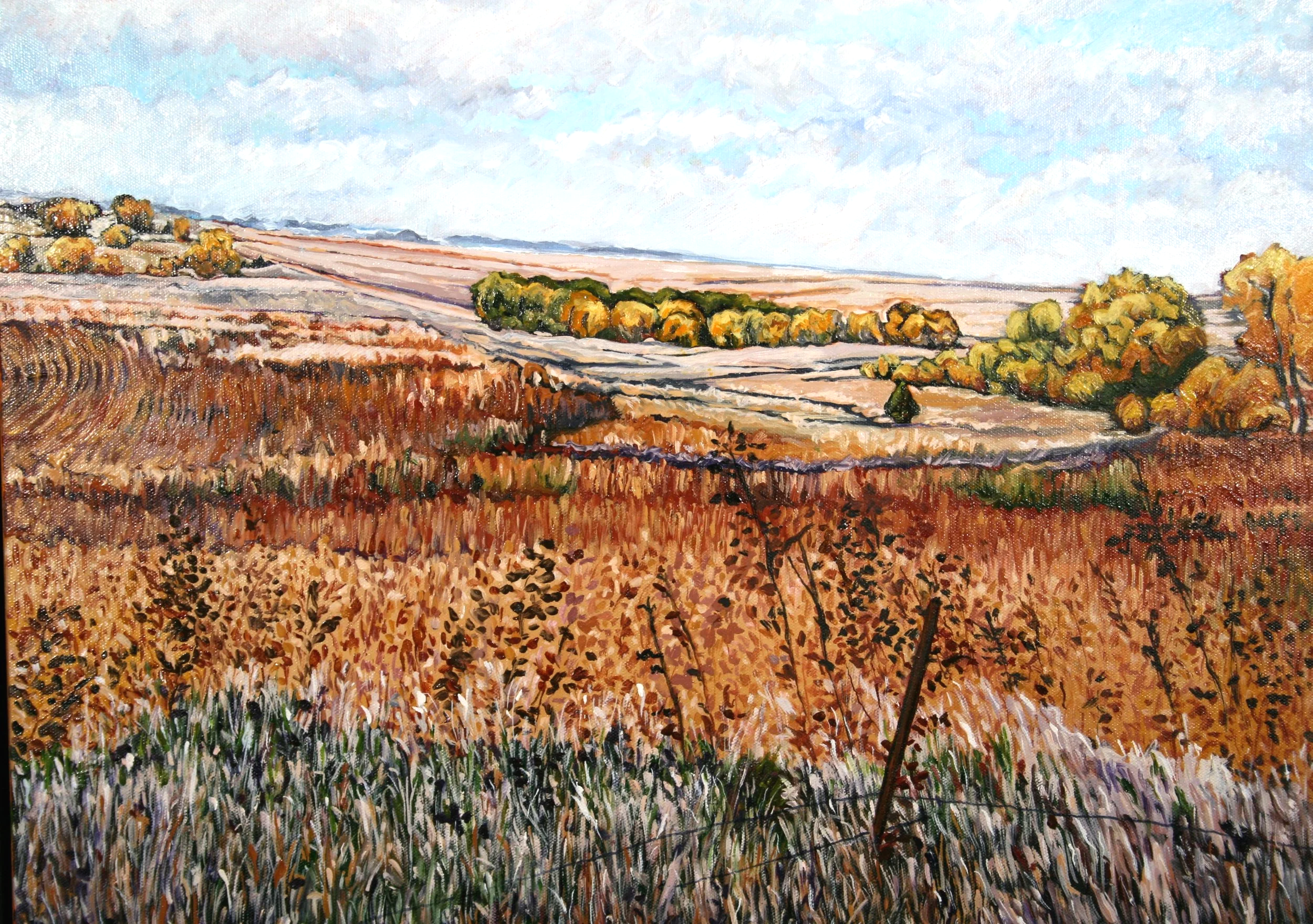   Fall Overlook   Oil on canvas  20"x24"  $650