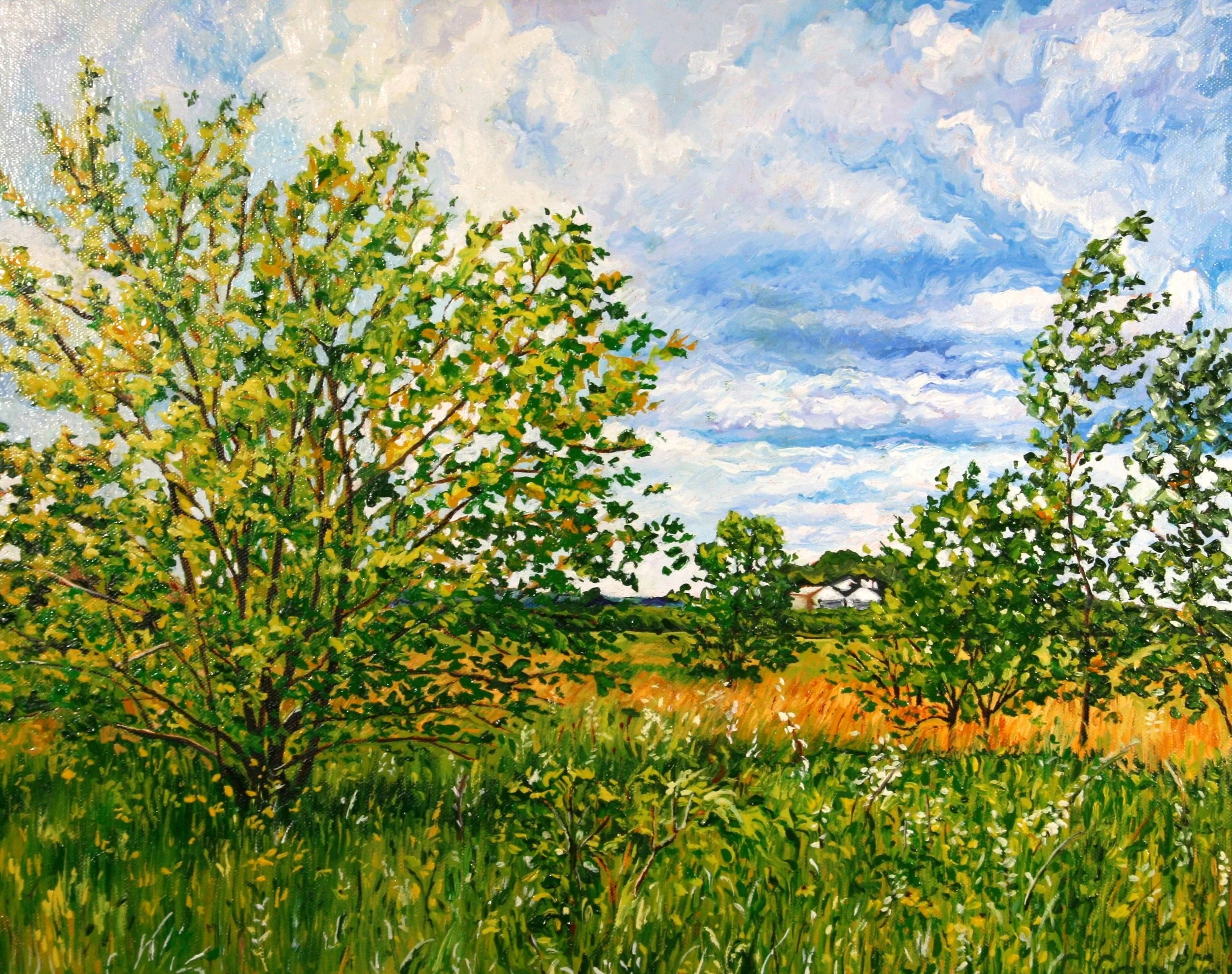   West on Twin Lakes Road   Oil on canvas  16"x20"  $475