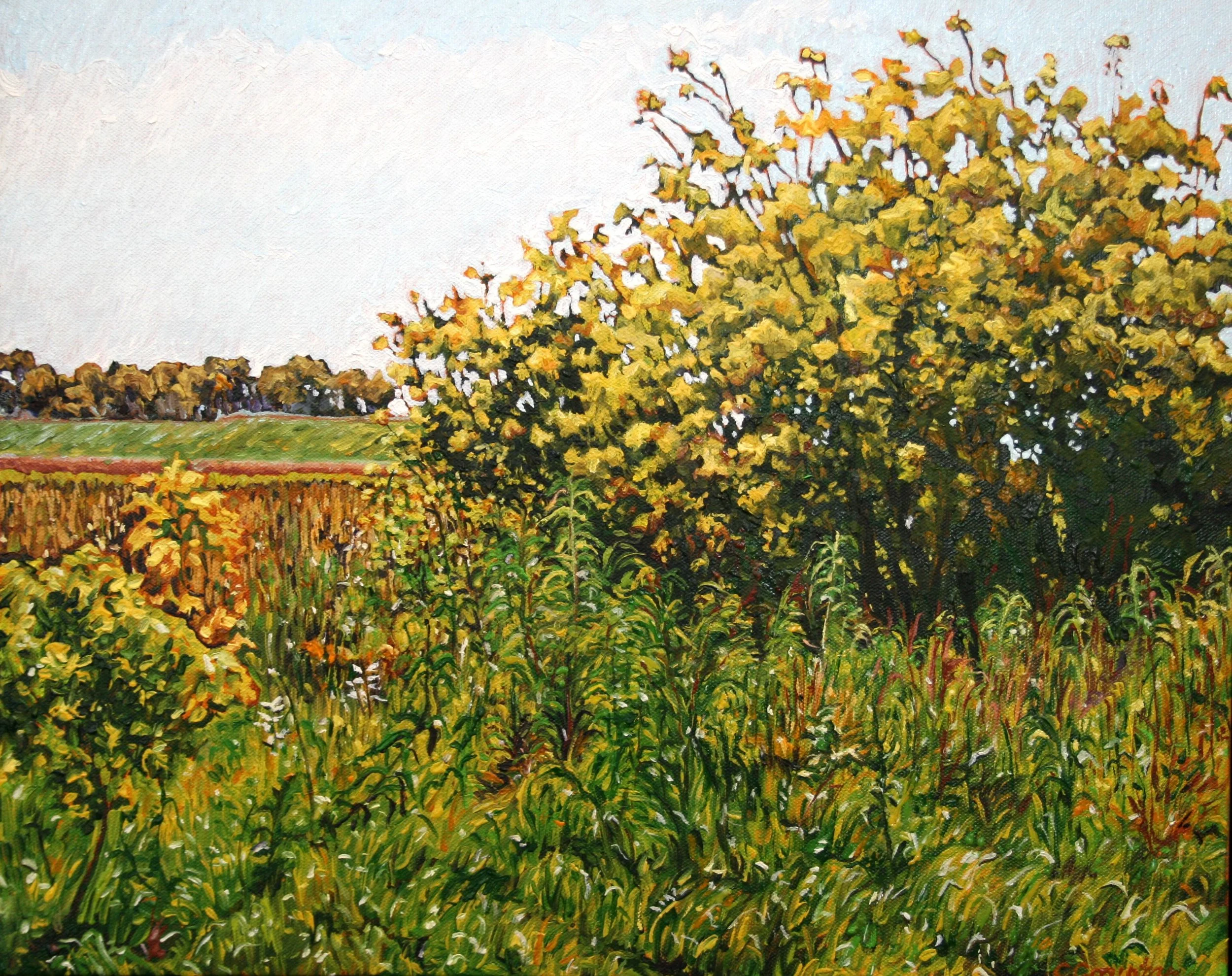   Meadowland   Oil on canvas  16"x20" $475