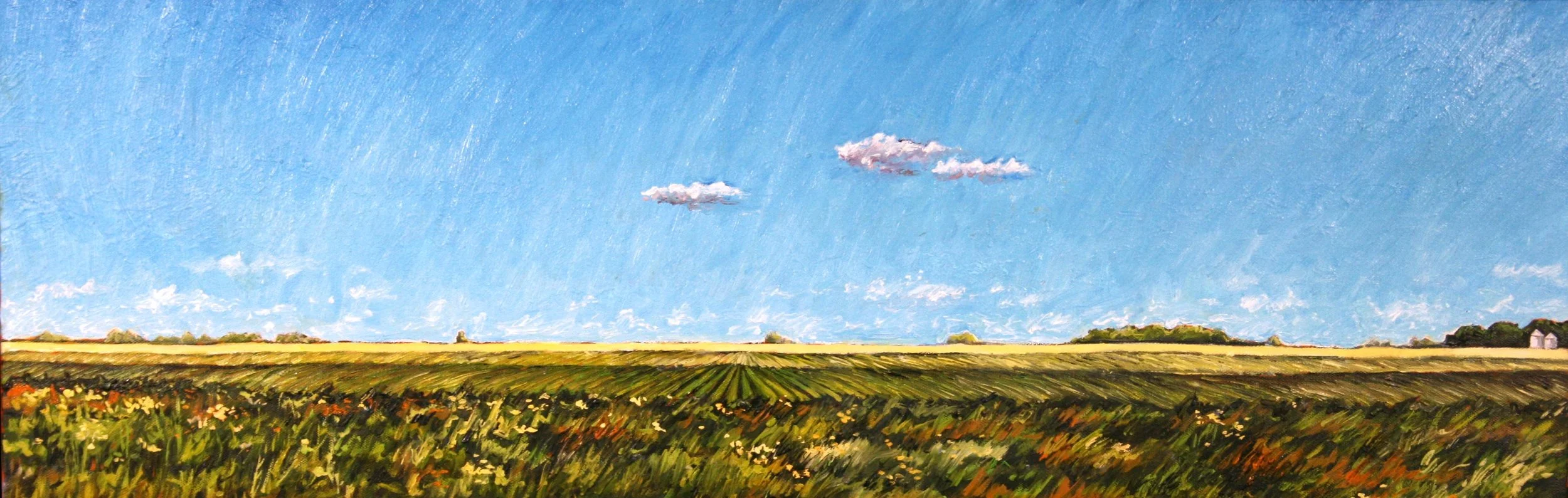   Distant Farmsteads   Oil on canvas 12"x36"  $500