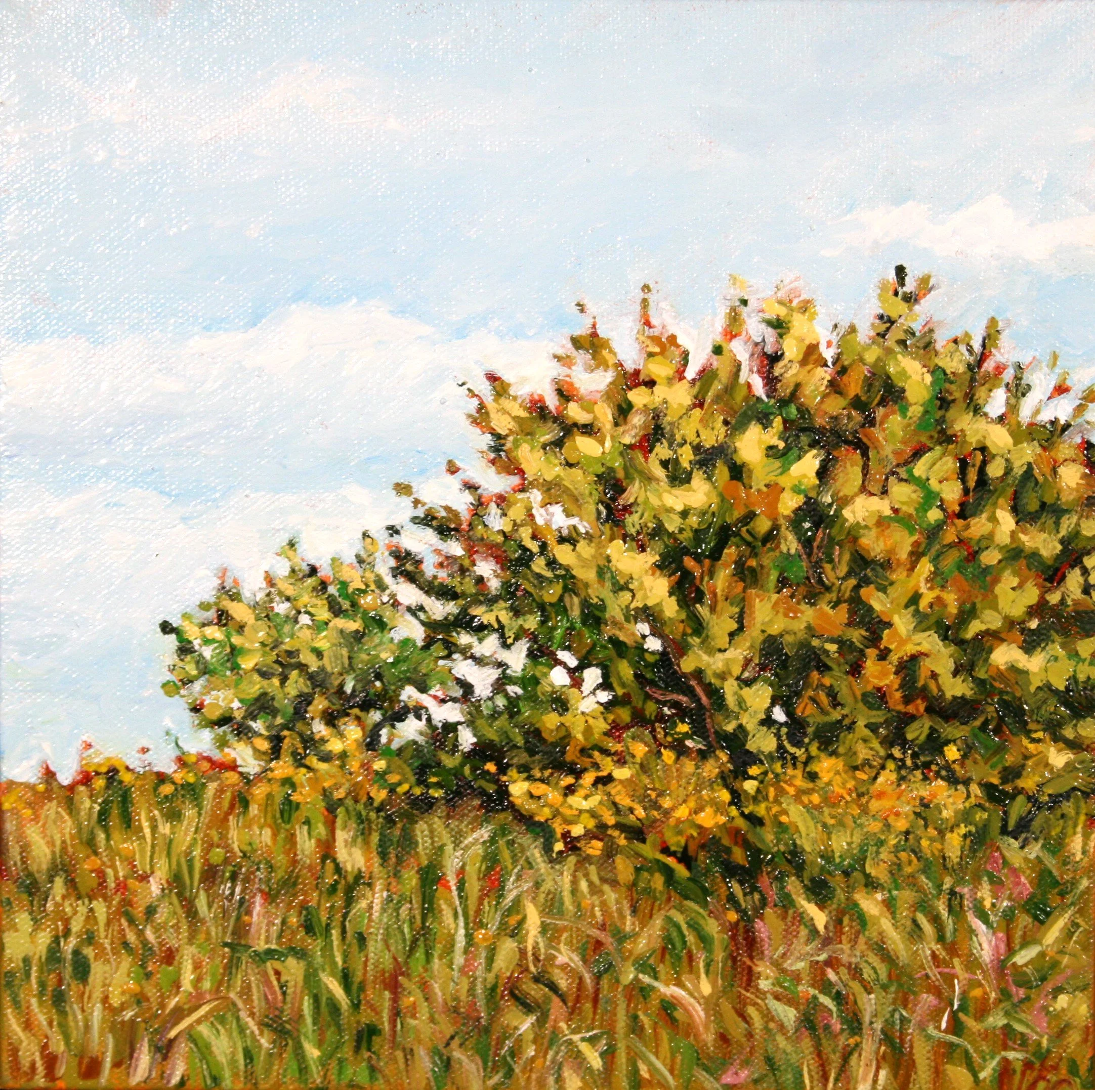   Untitled   Oil on canvas  10"x10" $225 