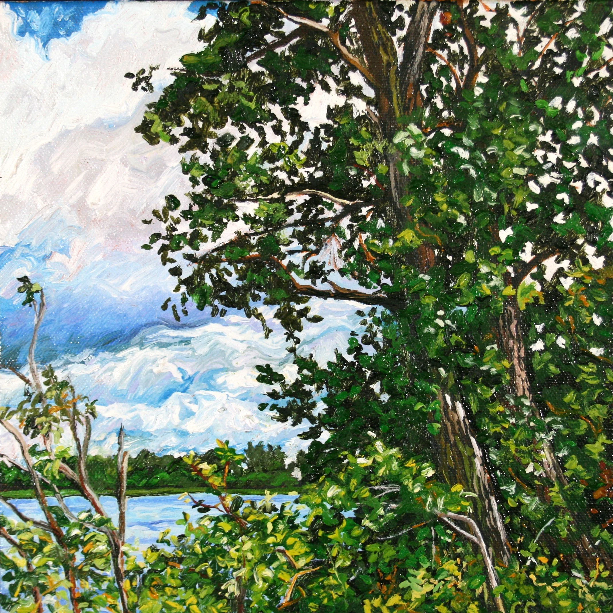   Untitled   Oil on canvas 10"x10"