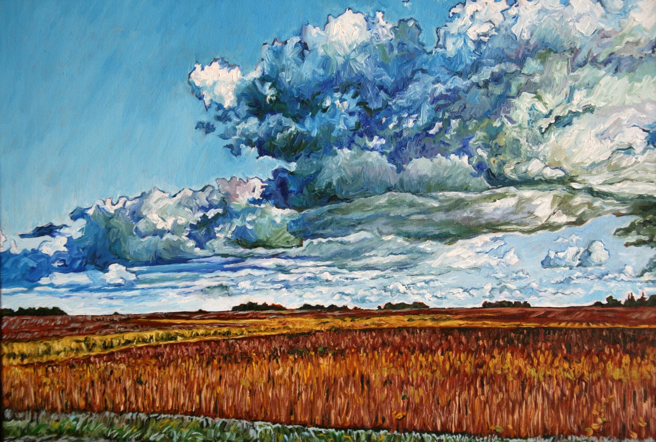   Ode to Tebow #4   Oil on canvas 18"x24"  $600