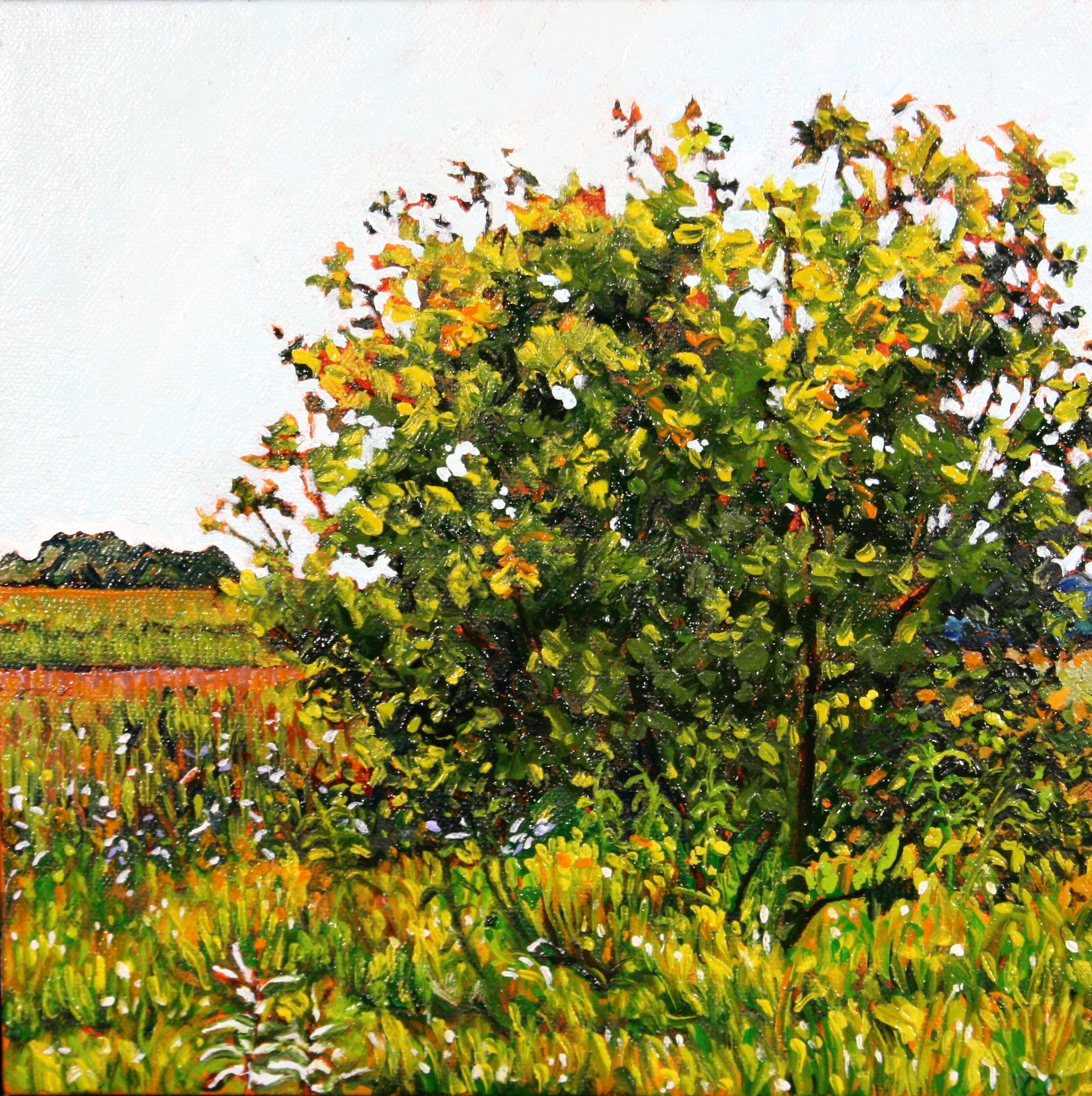   Untitled #10   Oil on canvas  10"x10" $225 