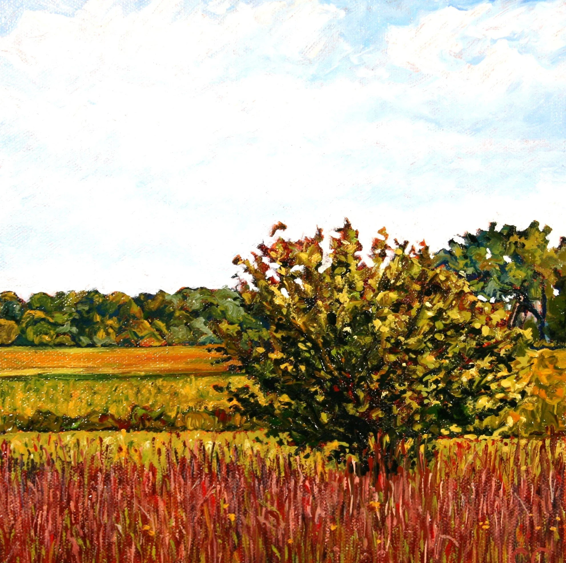   Untitled #6   Oil on canvas  10"x10"  $225