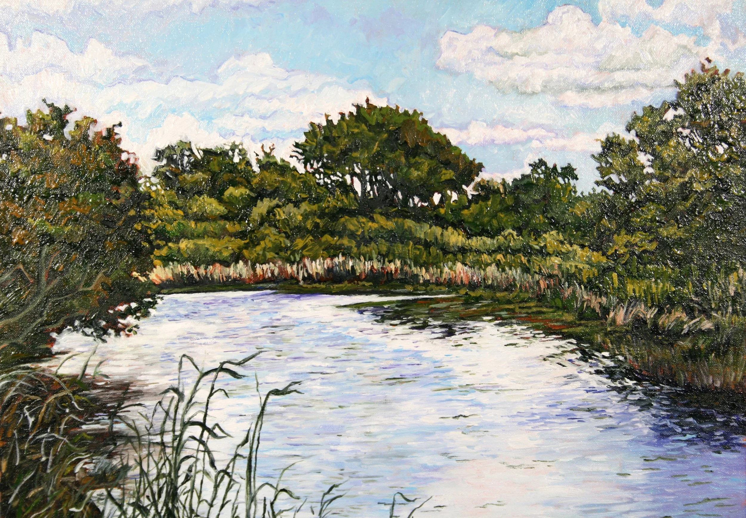   Raccoon in July   Oil on canvas  18"x24"  $600