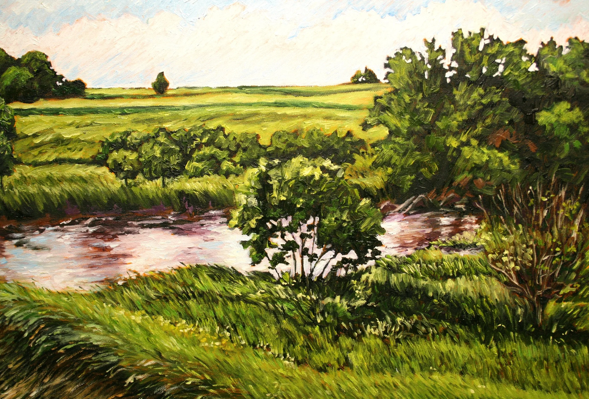   Buck Run North View   Oil on canvas 20"x24"