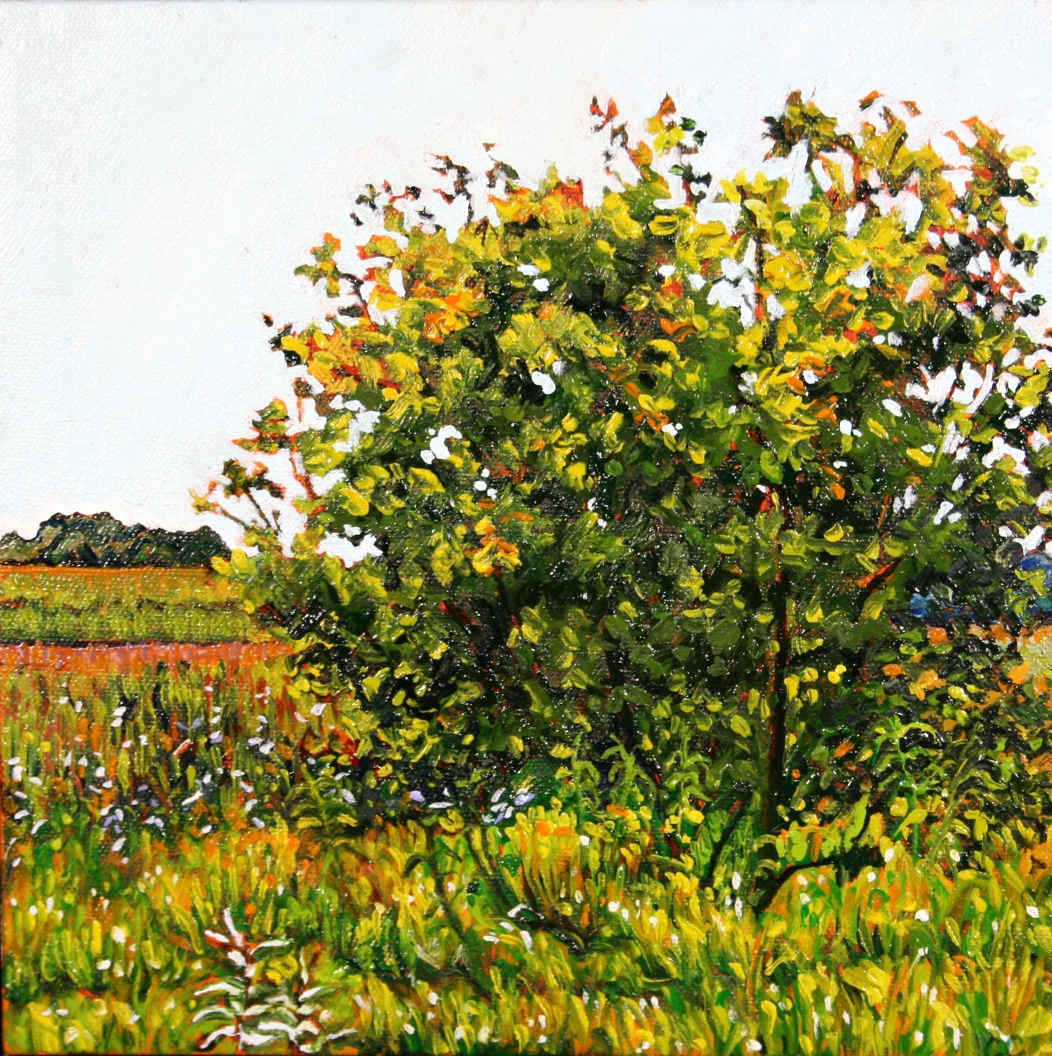   Untitled #11   Oil on canvas  10"x10" $225 