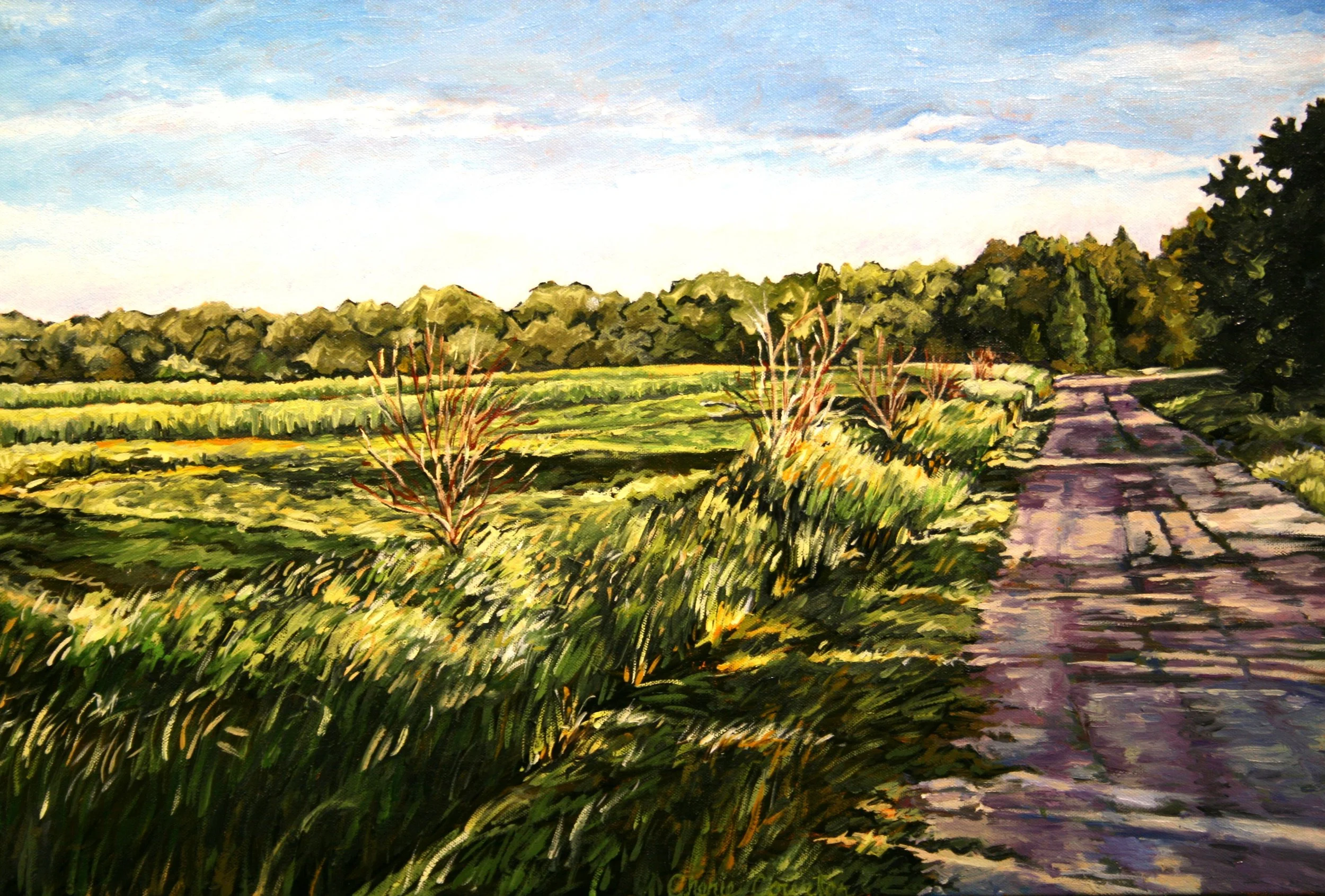   South Shore #6     Oil on canvas 18"x24"  $600