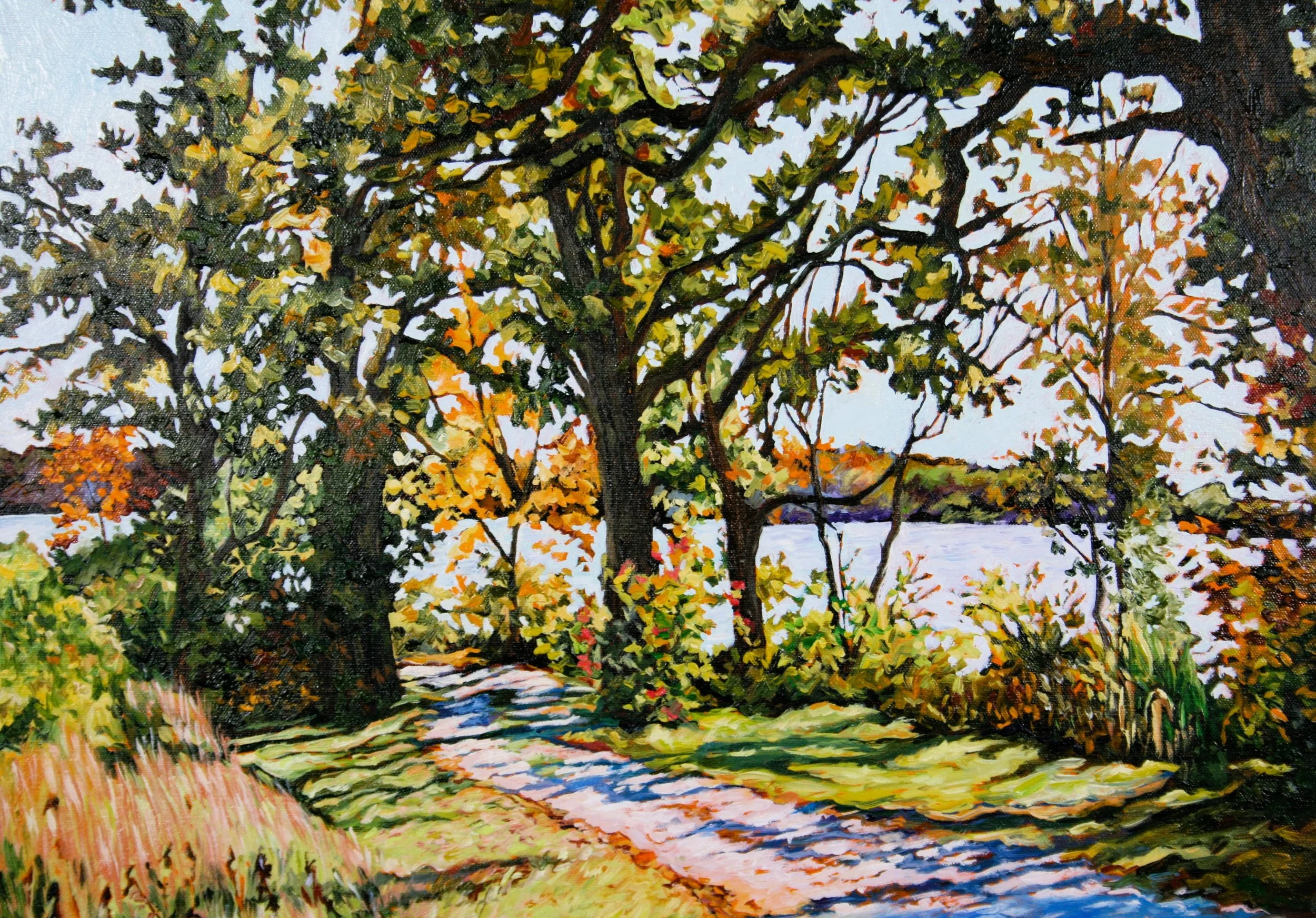   Silver Lake Road   Oil on canvas 20"x24" $650