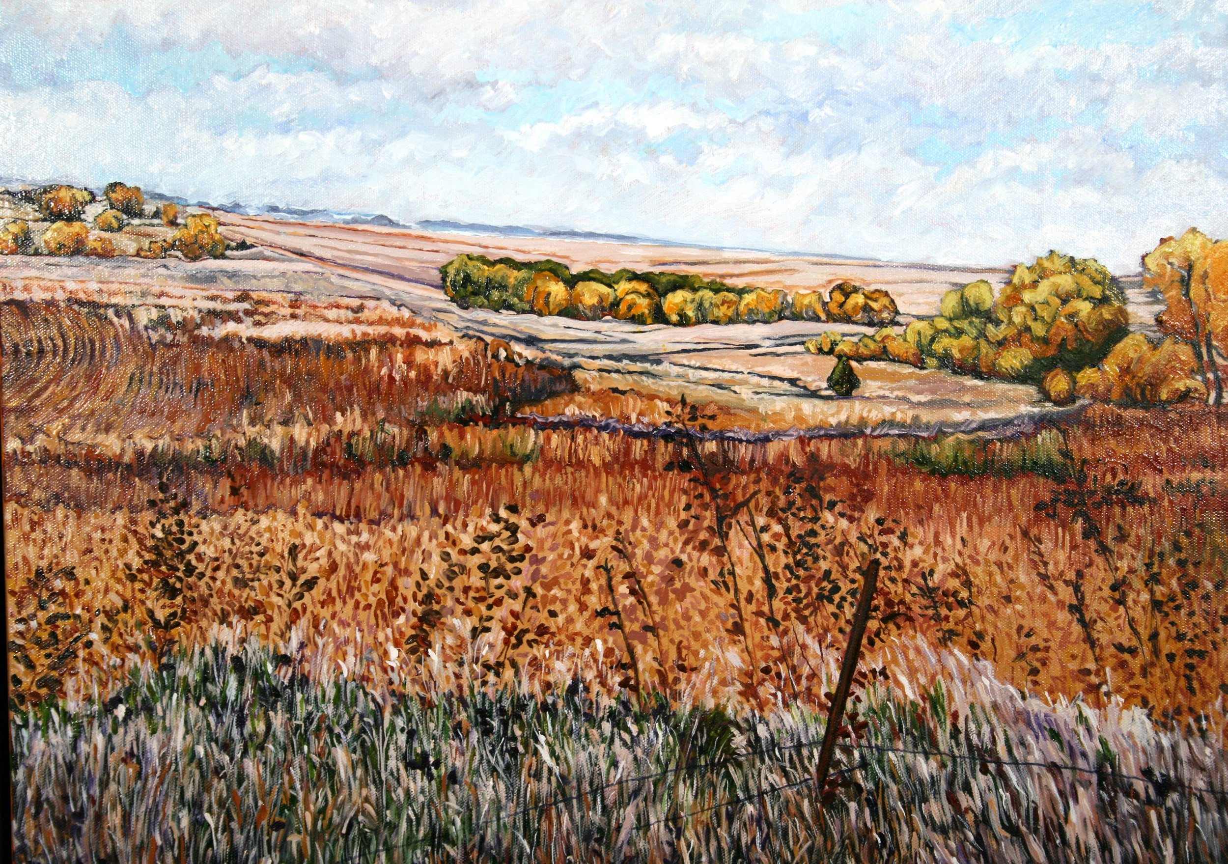   Fall Overlook   Oil on canvas  20"x24"  $650