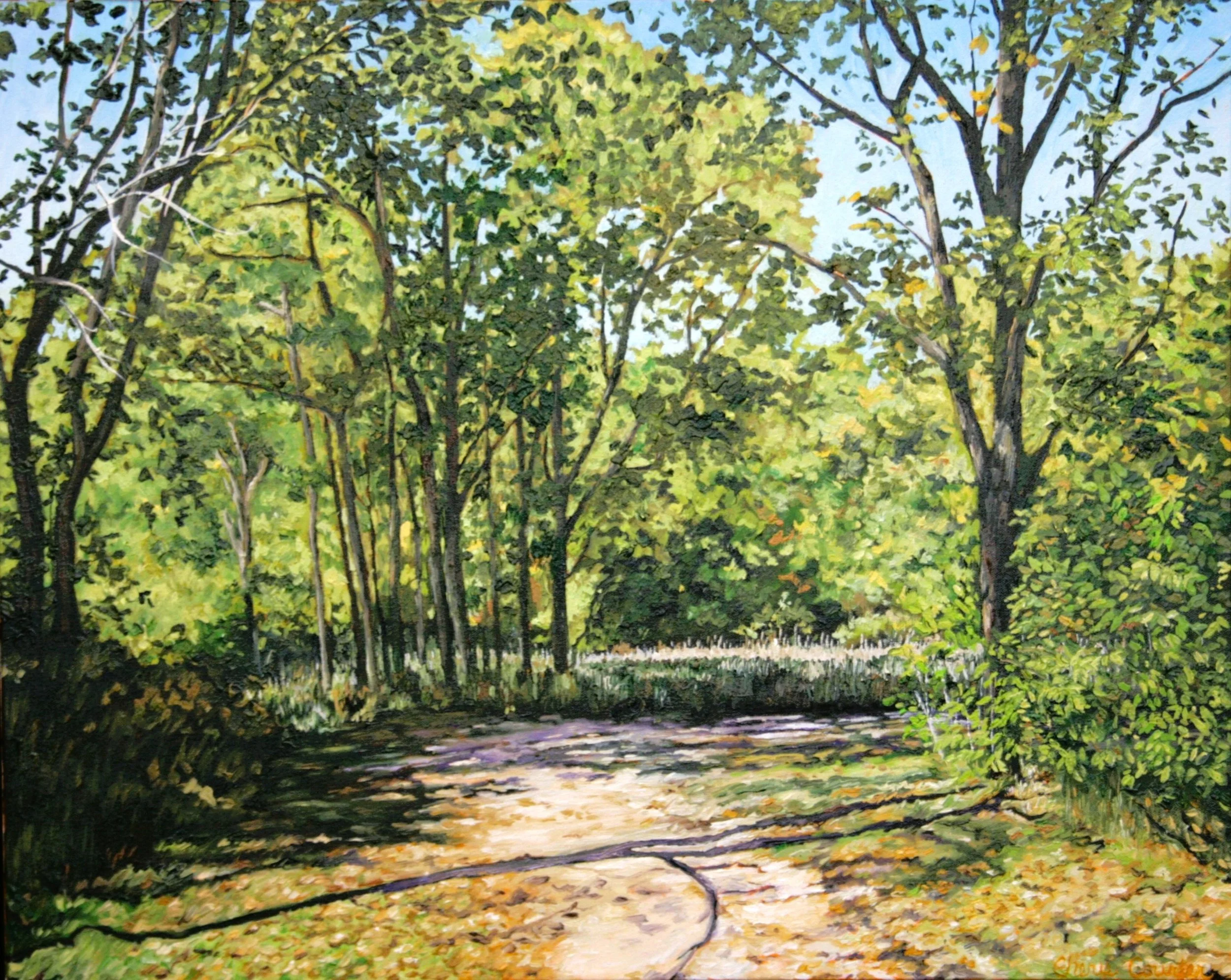   Briggs Woods Lookout   Oil on canvas 24"x30  $800