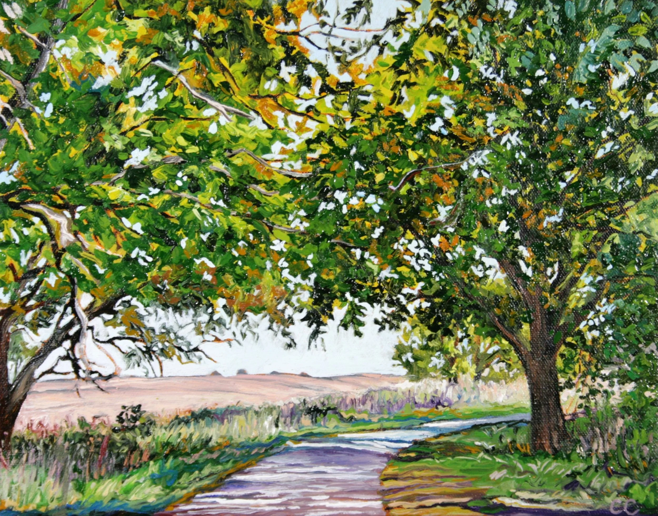   Rush Lake Road #3   Oil on canvas  12"x16"  $400