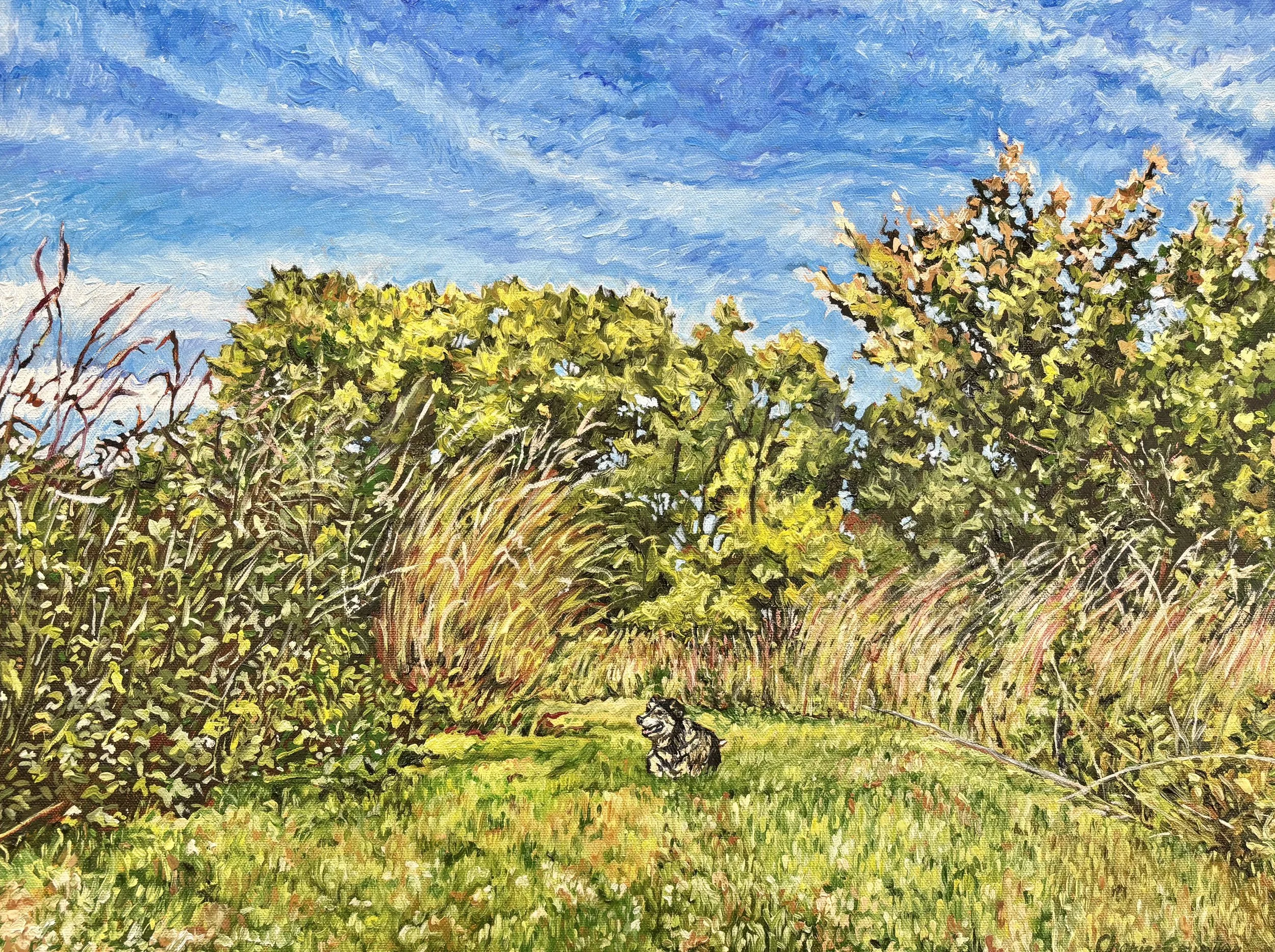 Oil on canvas 16"x20"