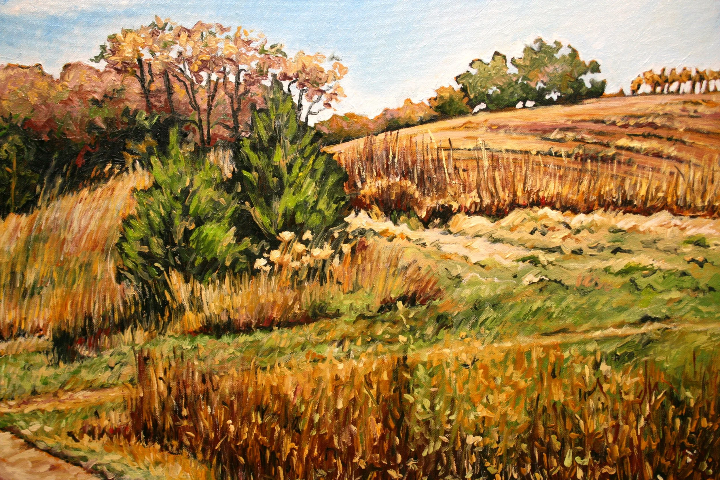   Cedars on a Hill   Oil on canvas  20"x24"  $650