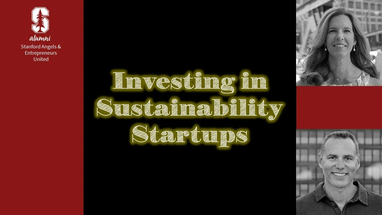 How to Invest in Sustainability Startups