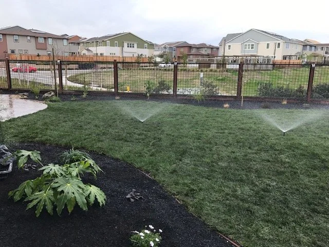 Repair and Cleanup Service