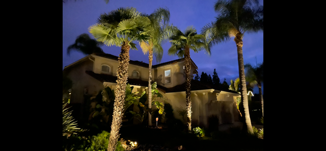 Nighttime view of a house surrounded by palm trees, with outdoor lighting illuminating the landscaping.