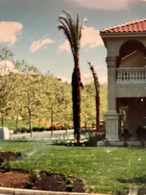 A tall palm tree and other trees in front of a house with a red-tiled roof and an arched porch, on a sunny day with a partly cloudy sky.