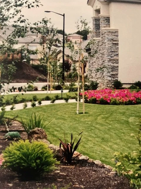A well-maintained front yard with green grass, small trees, flowering bushes, and decorative plants, surrounding a modern house with exterior stone accents and a sidewalk with street lamps.
