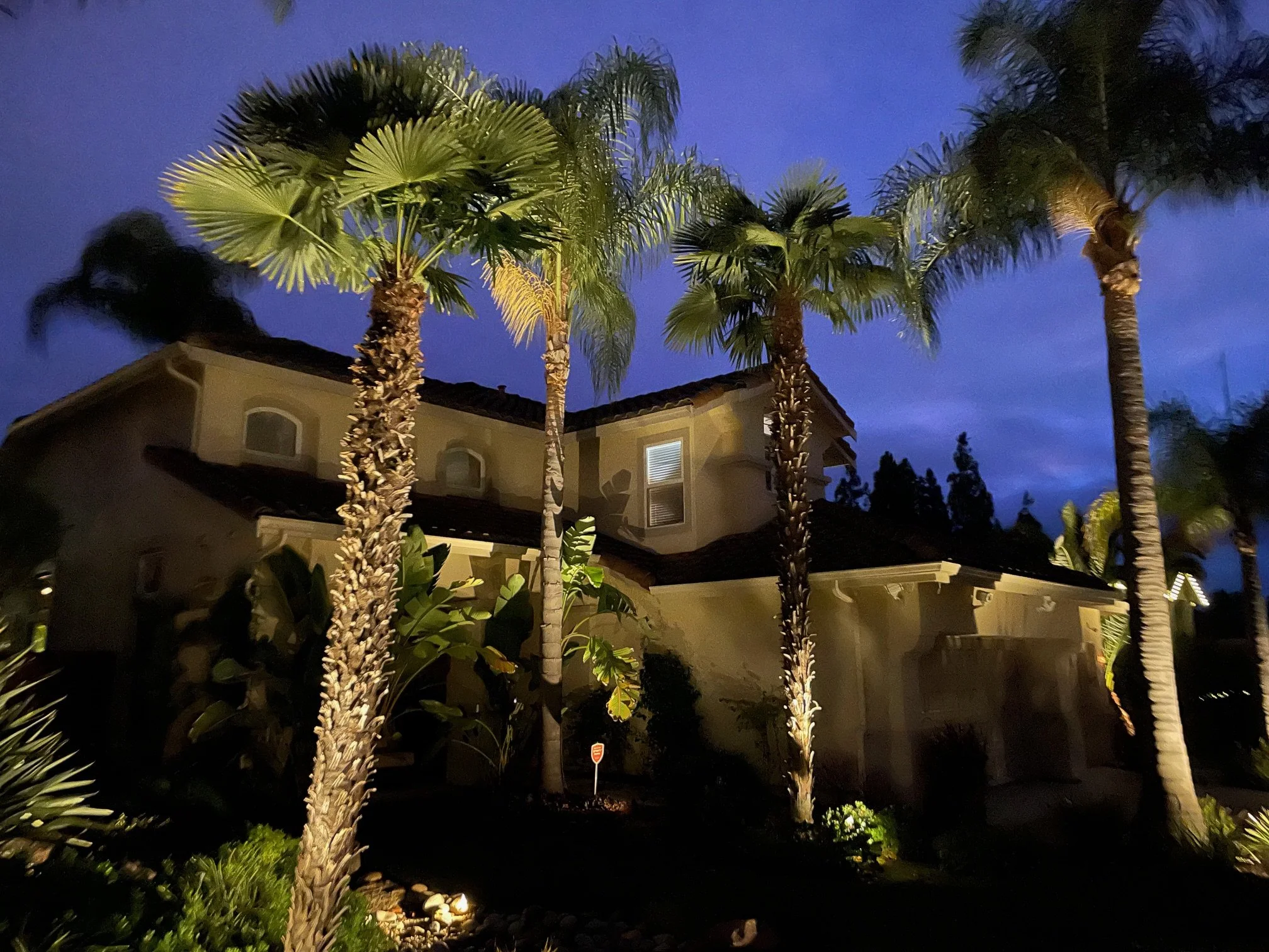 Nighttime view of a house with yellow walls, red tile roof, surrounded by tall palm trees and lush greenery, under a dark blue sky.