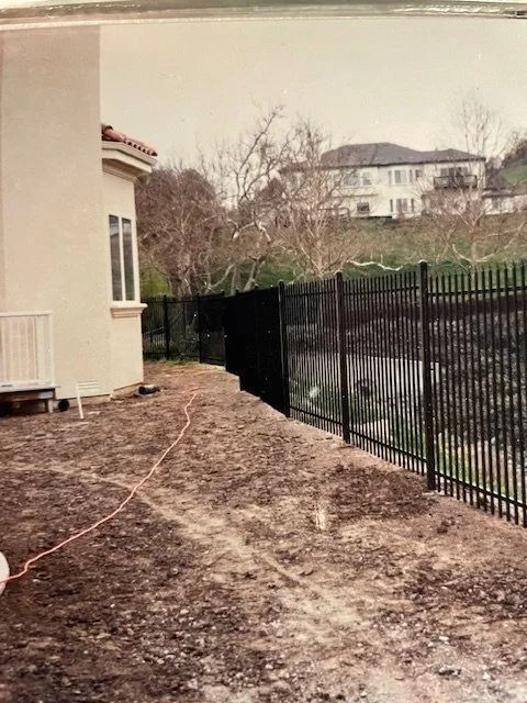 A backyard with dirt and a black metal fence separating it from the surrounding area, with bare trees and houses in the background.