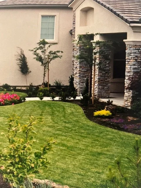 Front yard with a curved lawn, various small trees, flowering plants, and a house with stone accents.