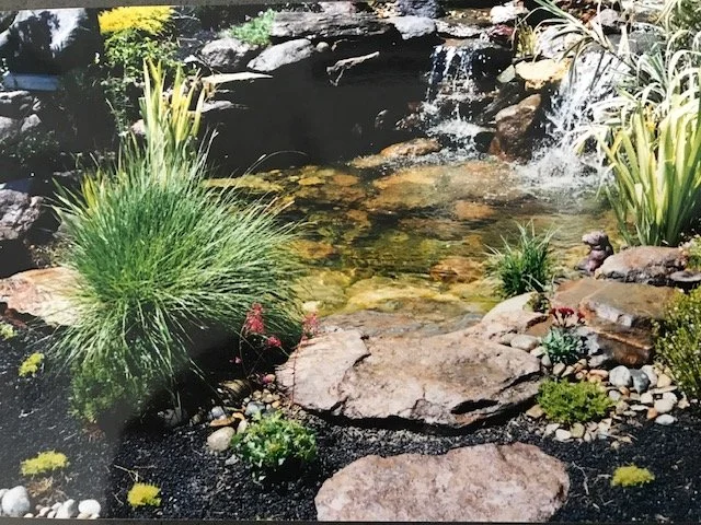 A small garden pond with rocks, water plants, and aquatic vegetation, with a waterfall spilling into the pond.