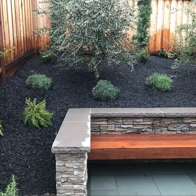 Backyard garden with black mulch, small green plants, a large shrub, a stone and wood bench, and a wooden fence.