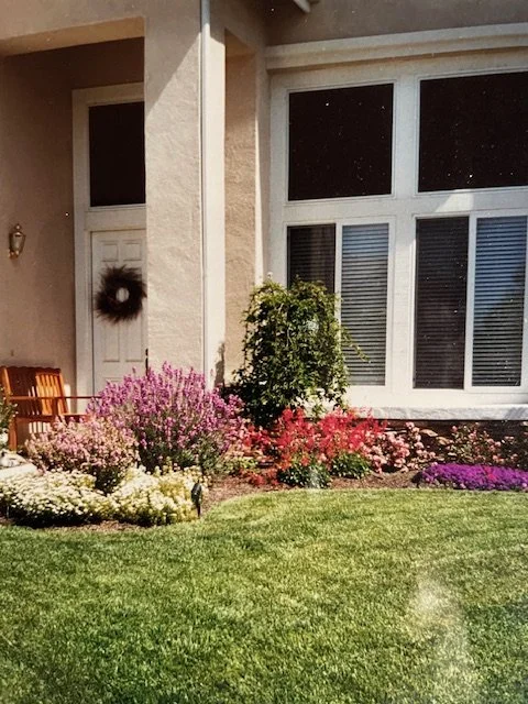 Front yard garden with colorful flowers and a green bush in front of a house with large windows.