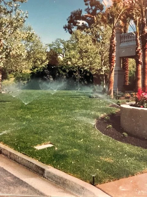 A landscaped yard with sprinklers watering a grassy area, palm trees, and a building with a balcony in the background, under clear blue skies.