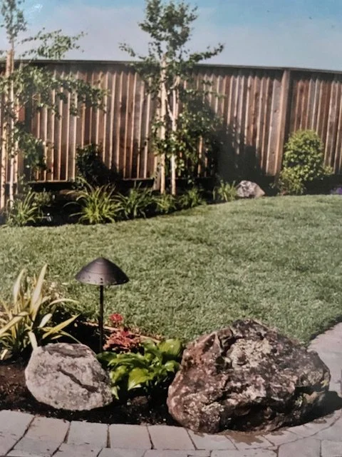 Backyard garden with green grass, trees, shrubs, rocks, and a small black lamp.