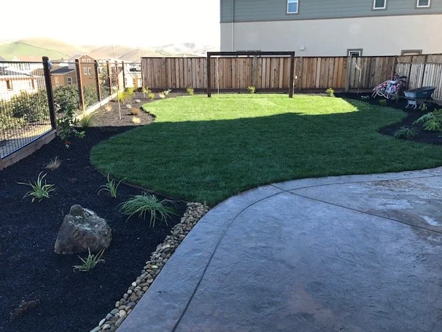 Complete Landscaping and Renovations