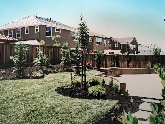 Backyard with a small lawn, young trees, shrubs, and a fenced perimeter; houses with brown walls and white windows in the background
