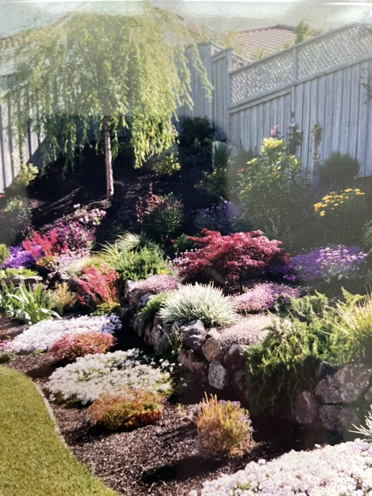 A lush backyard with a variety of colorful flowers, shrubs, and a small tree, bordered by a stone wall and a wooden fence, under bright sunlight.