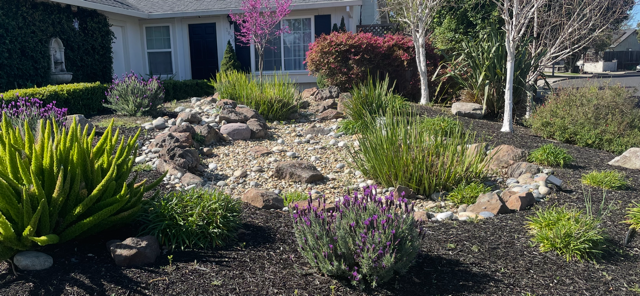 A landscaped garden in front of a house featuring colorful shrubs, trees, rocks, and various plants and flowers.