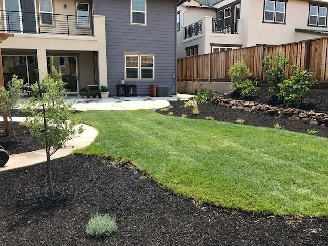 A backyard with a green lawn, small trees, shrubs, a concrete patio, and a tall wooden fence. The background shows neighboring houses with multiple stories.