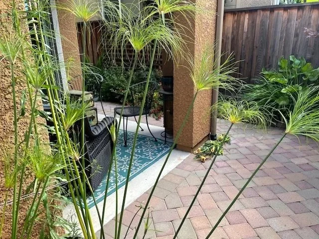 Backyard patio with plants, a blue patterned rug, patio furniture, and a wooden fence.